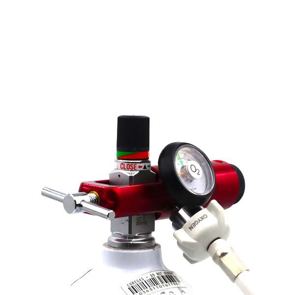 Regulator-Flowmeter 2 Outlets 0.25-25 LPM - Medical Oxygen