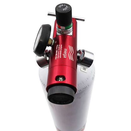 Regulator-Flowmeter 2 Outlets 0.25-25 LPM - Medical Oxygen